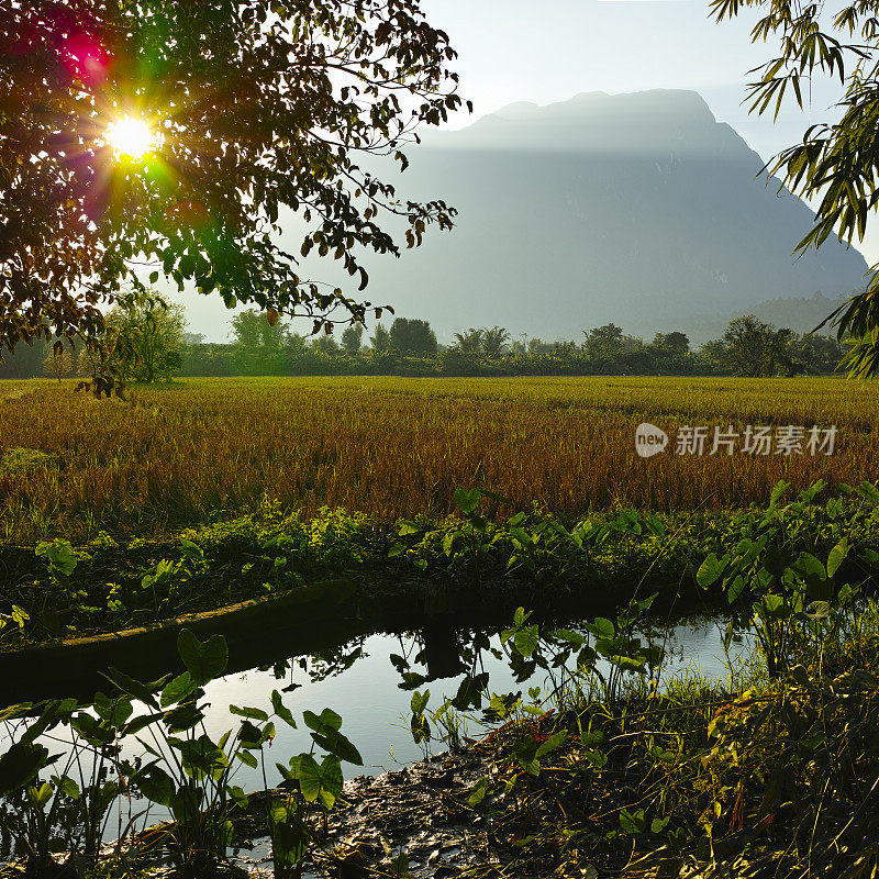 Doi Luang 山和清道。